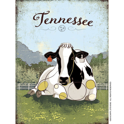 Tennessee Holstein Cow art print by Daryl Stevens